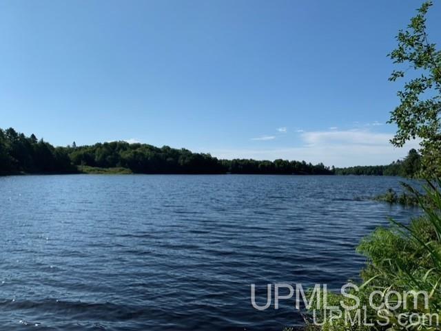 2123 West Siewert Road Mercer, WI 54547 - Photo 2 of 2 Gallery Image 2