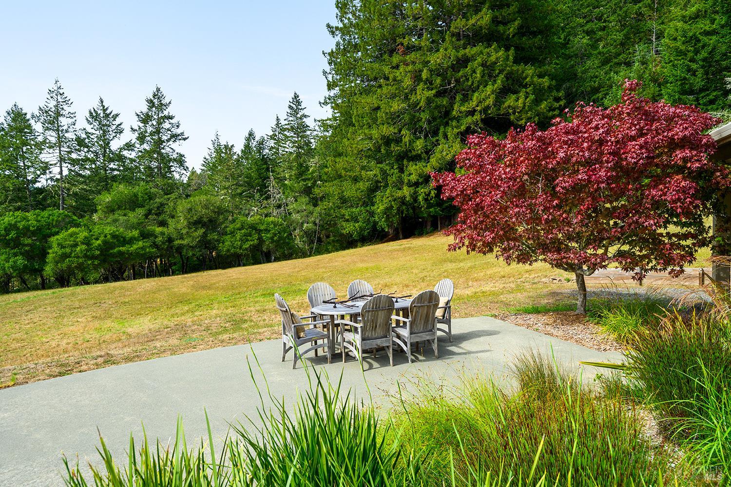 2585 Marra Road Occidental, CA 95465 - Photo 23 of 58