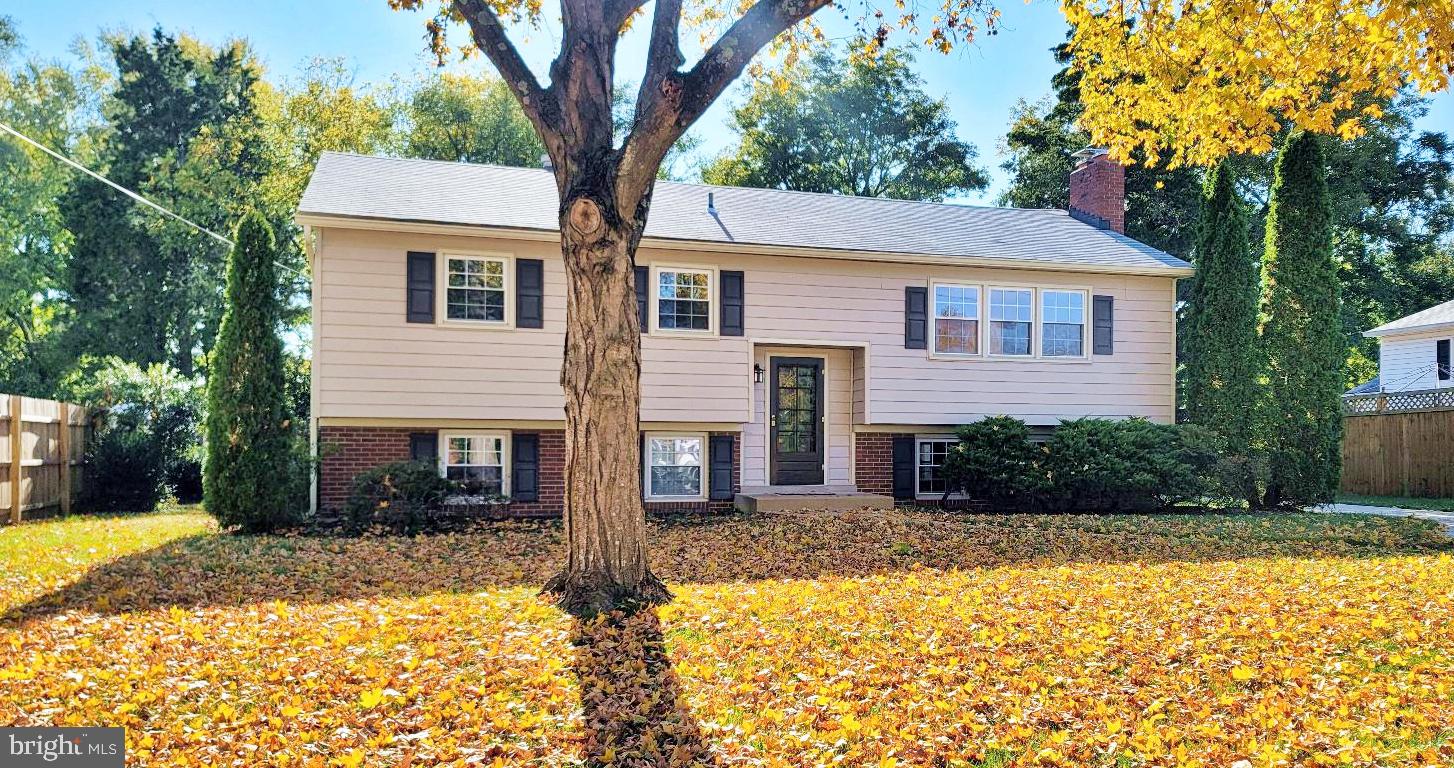 5507 Ashfield Road Alexandria, VA 22315 - Photo 41 of 41 Gallery Image 41