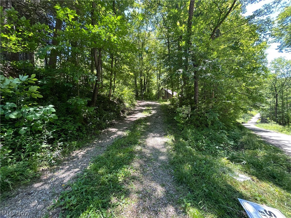 34370 Harry Taylor Road Piedmont, OH 43983 - Photo 8 of 23 Driveway from Edgewater Park Rd