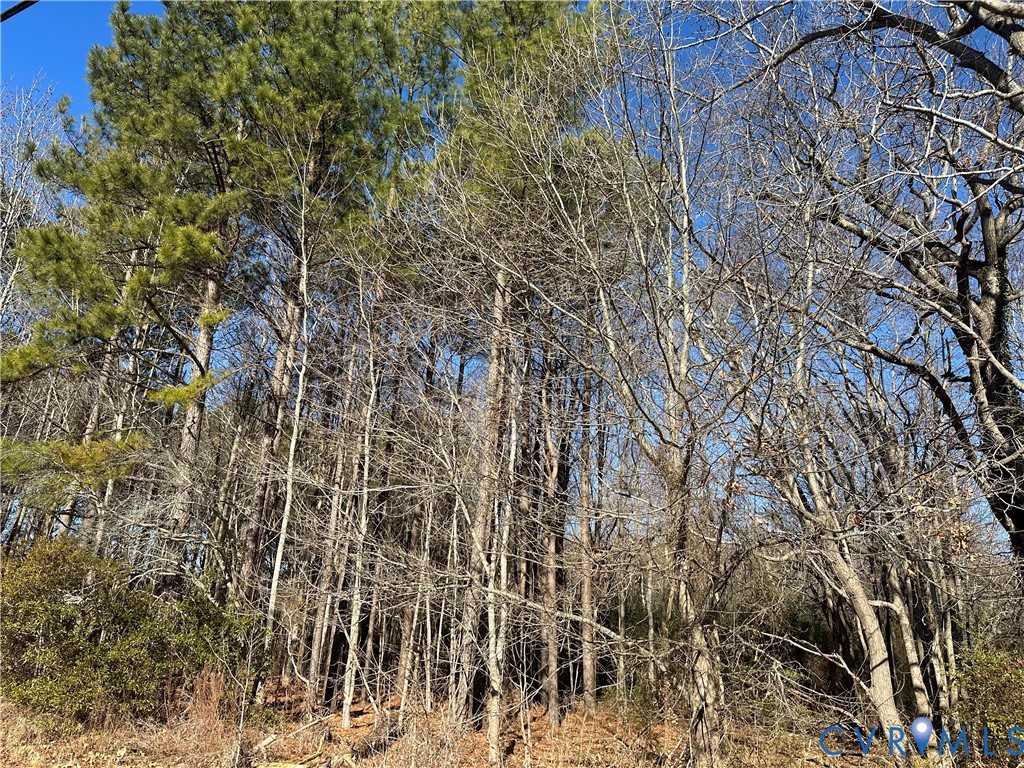 349 Taylors Beach Road Reedville, VA 22539 - Photo 10 of 18
