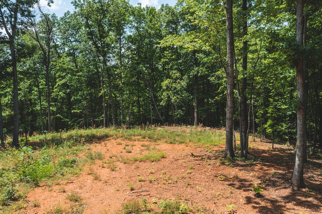 Tbd Lee Elgin Road, Unit 481797 Woolwine, VA 24185 - Photo 2 of 11 Gallery Image 2