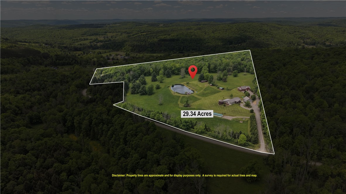 121 Lang Road Spencer, NY 14883 - Photo 3 of 49