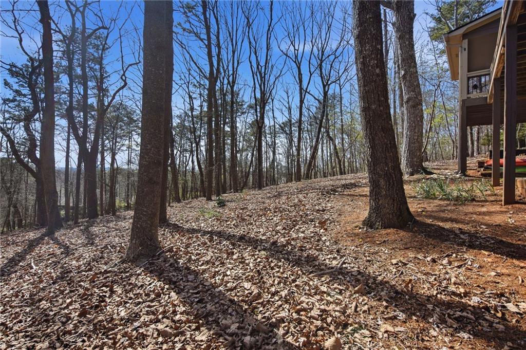 43 Morgan Walk Big Canoe, GA 30143 - Photo 35 of 66 a view of a yard with trees