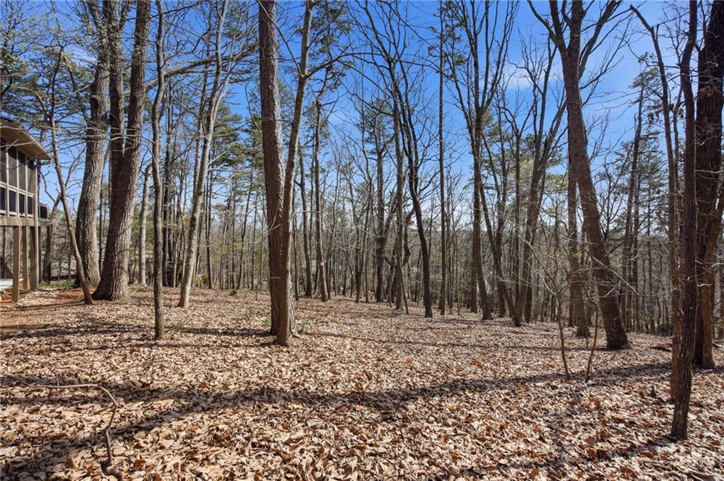 43 Morgan Walk Big Canoe, GA 30143 - Photo 38 of 66 a backyard of a house with lots of trees