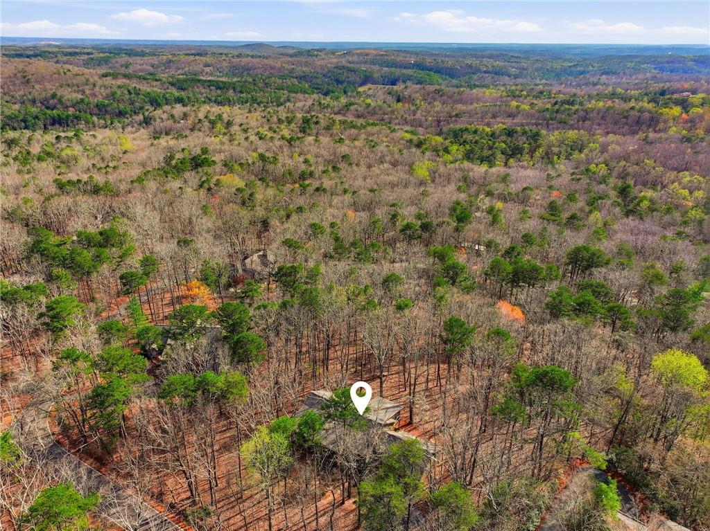 43 Morgan Walk Big Canoe, GA 30143 - Photo 42 of 66 a view of a city with lush green forest