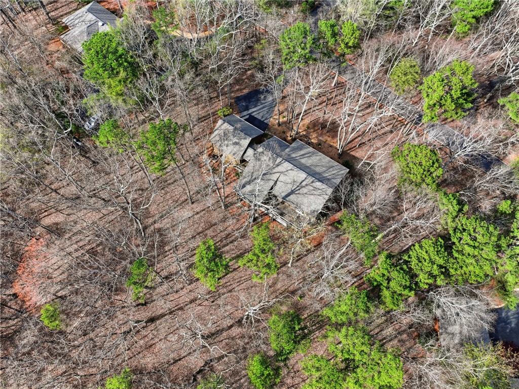 43 Morgan Walk Big Canoe, GA 30143 - Photo 45 of 66 a backyard of a house with lots of plants and trees