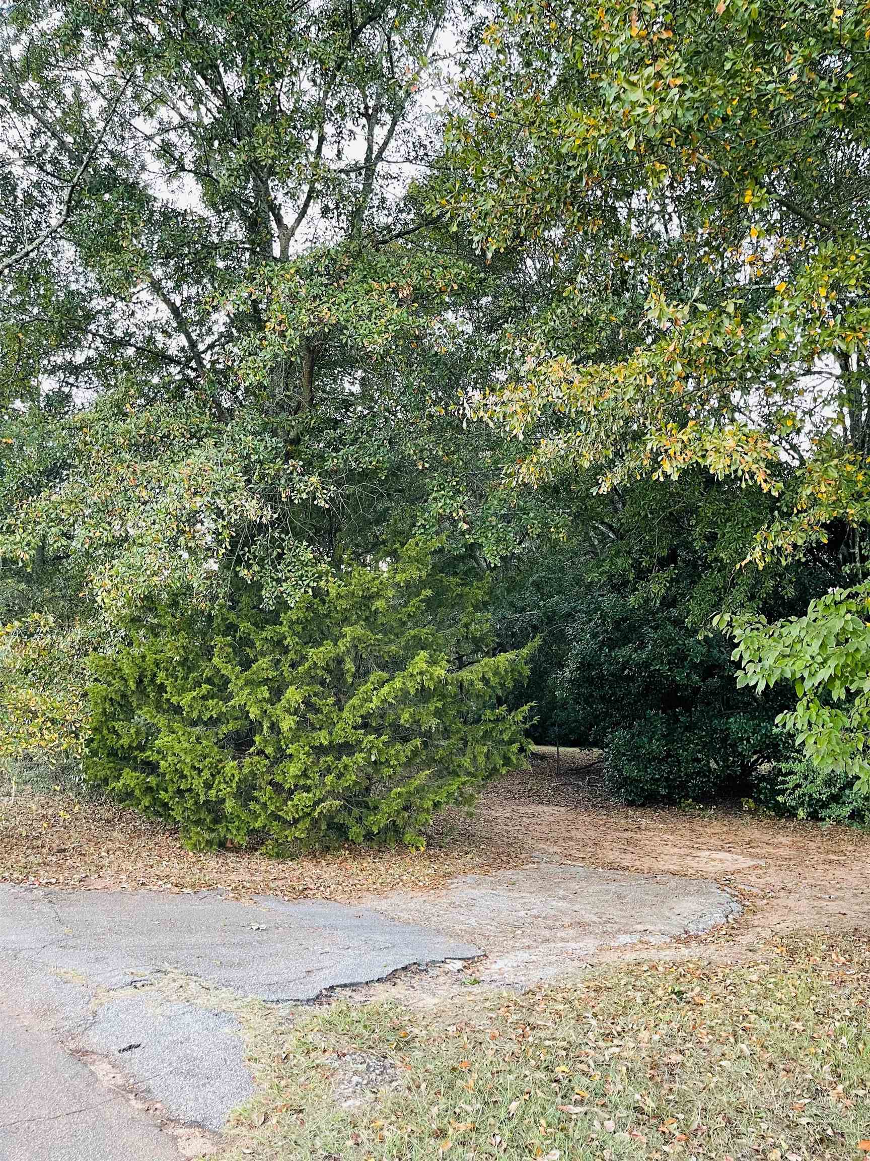 422 Dallas Road Greenville, SC 29607 - Photo 2 of 9 Gallery Image 2