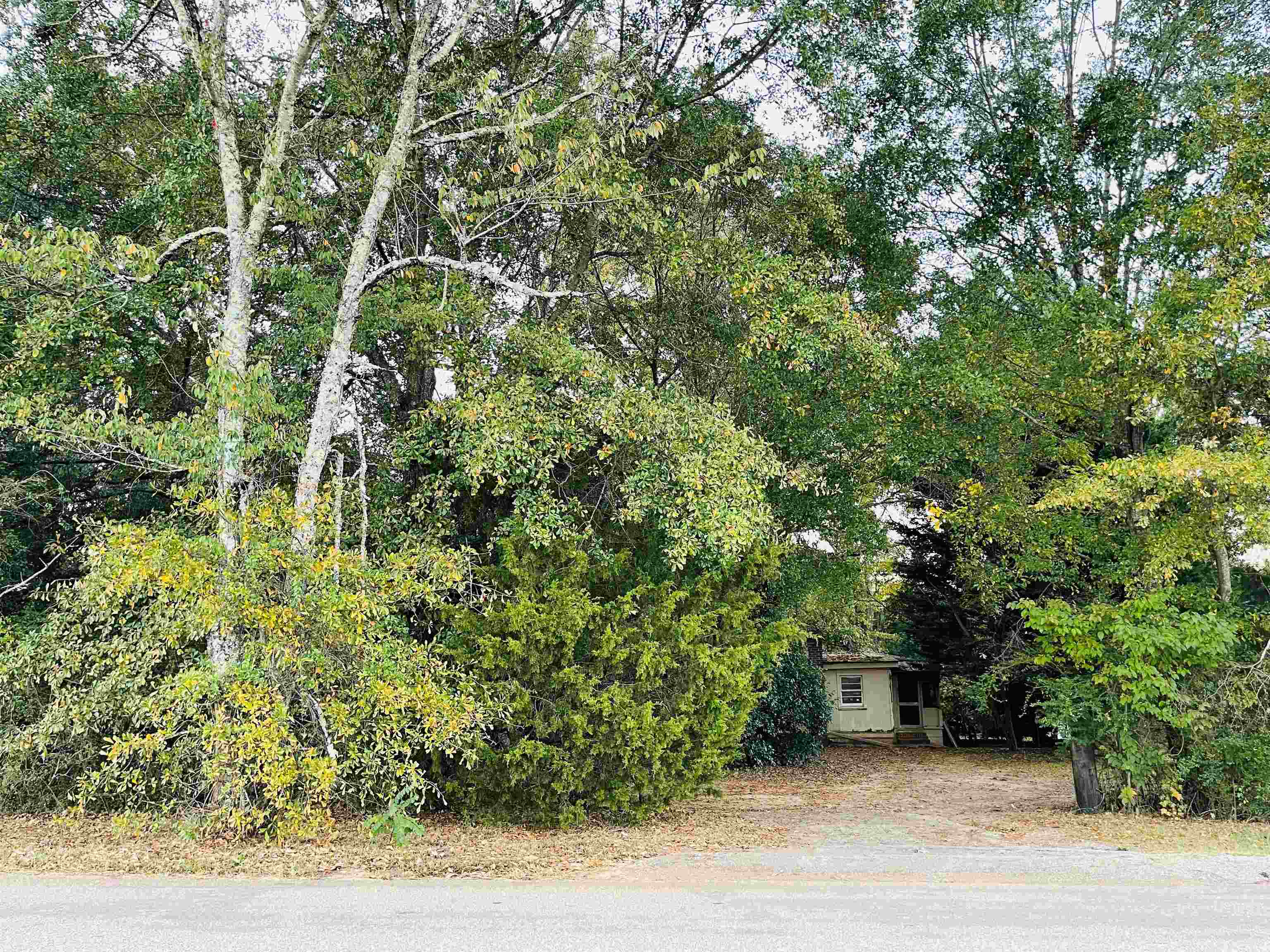 422 Dallas Road Greenville, SC 29607 - Photo 3 of 9 Gallery Image 3