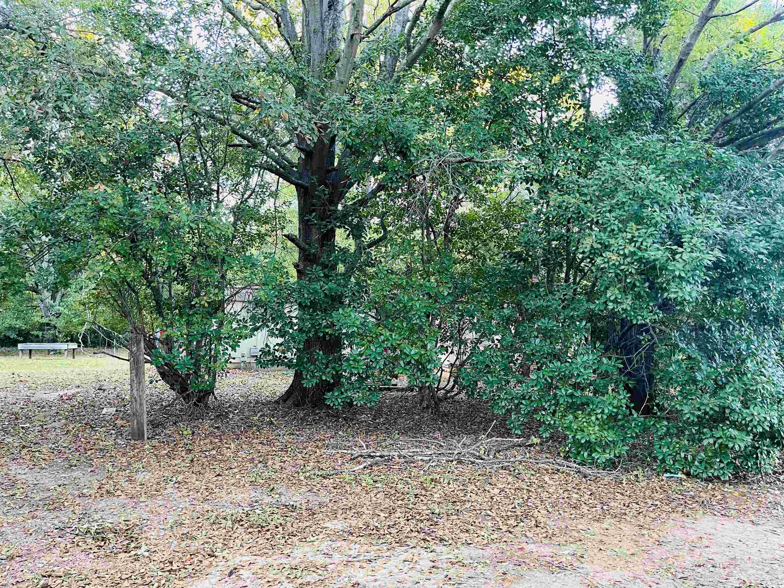 422 Dallas Road Greenville, SC 29607 - Photo 6 of 9 Gallery Image 6