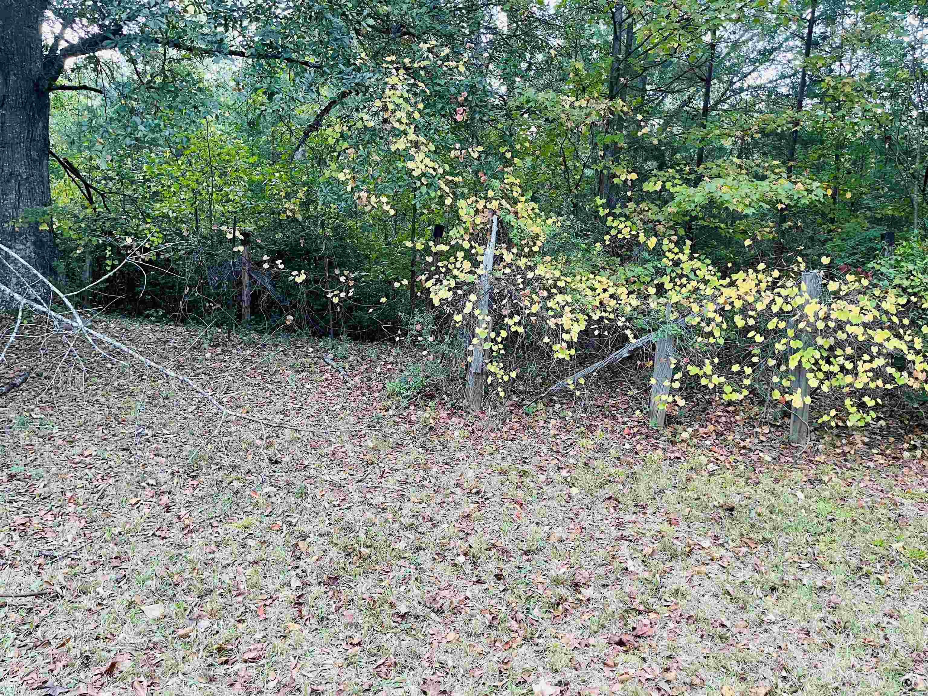 422 Dallas Road Greenville, SC 29607 - Photo 9 of 9 Gallery Image 9