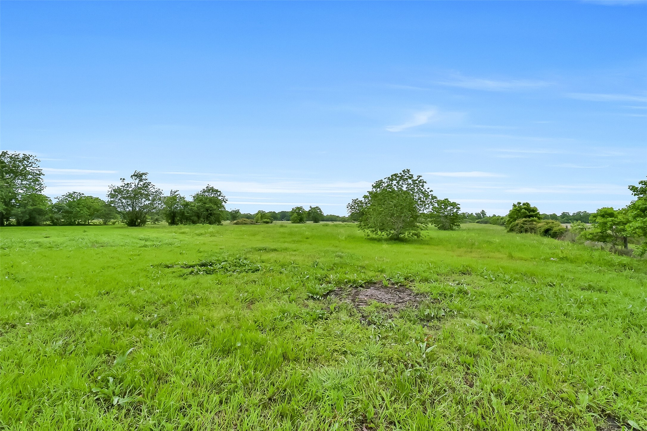 9606 Needville Fairchilds Road Needville, TX 77461 - Photo 43 of 46