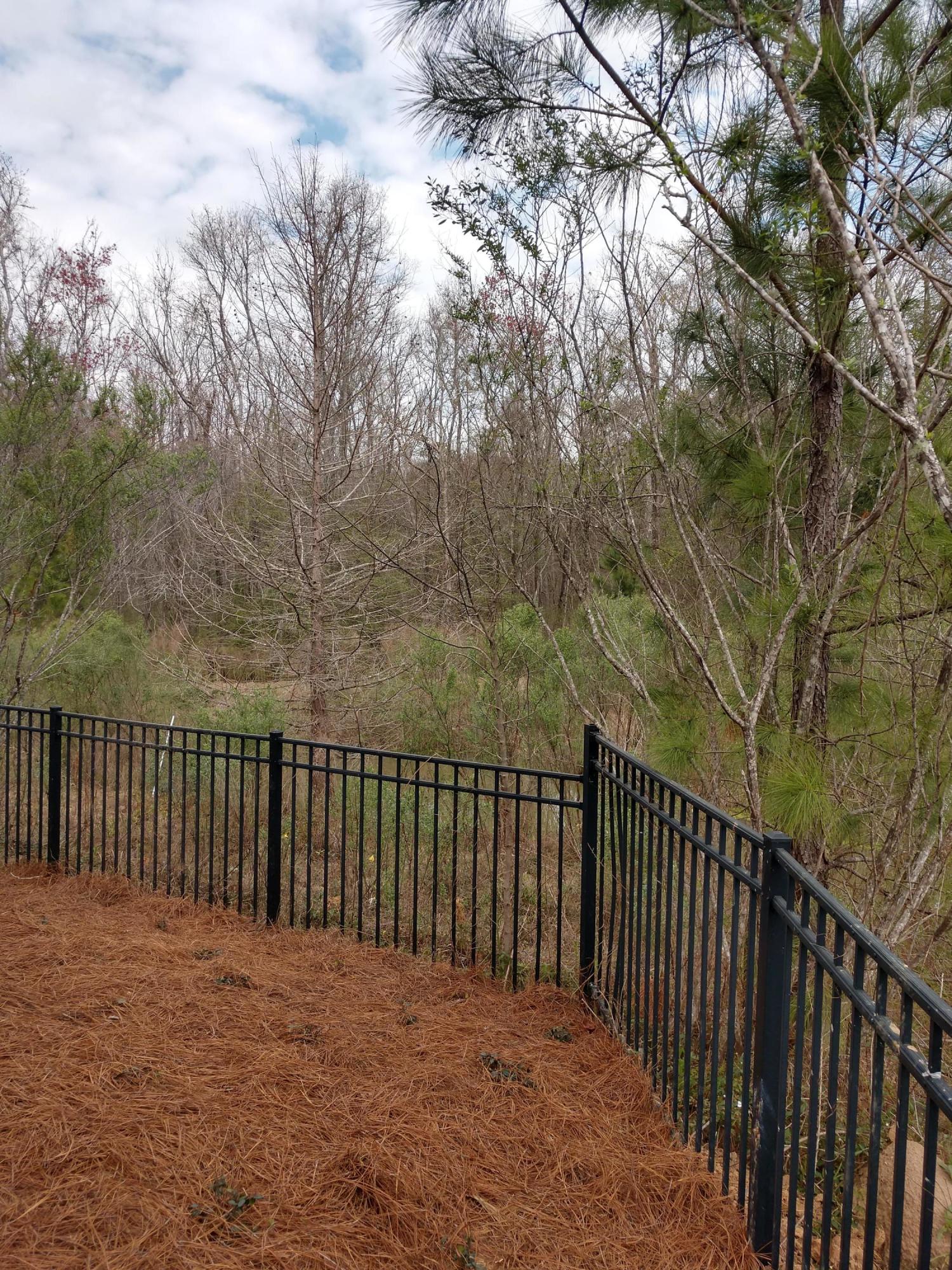 397 Flyway Road, Unit 95 Goose Creek, SC 29445 - Photo 5 of 7 Private Yard