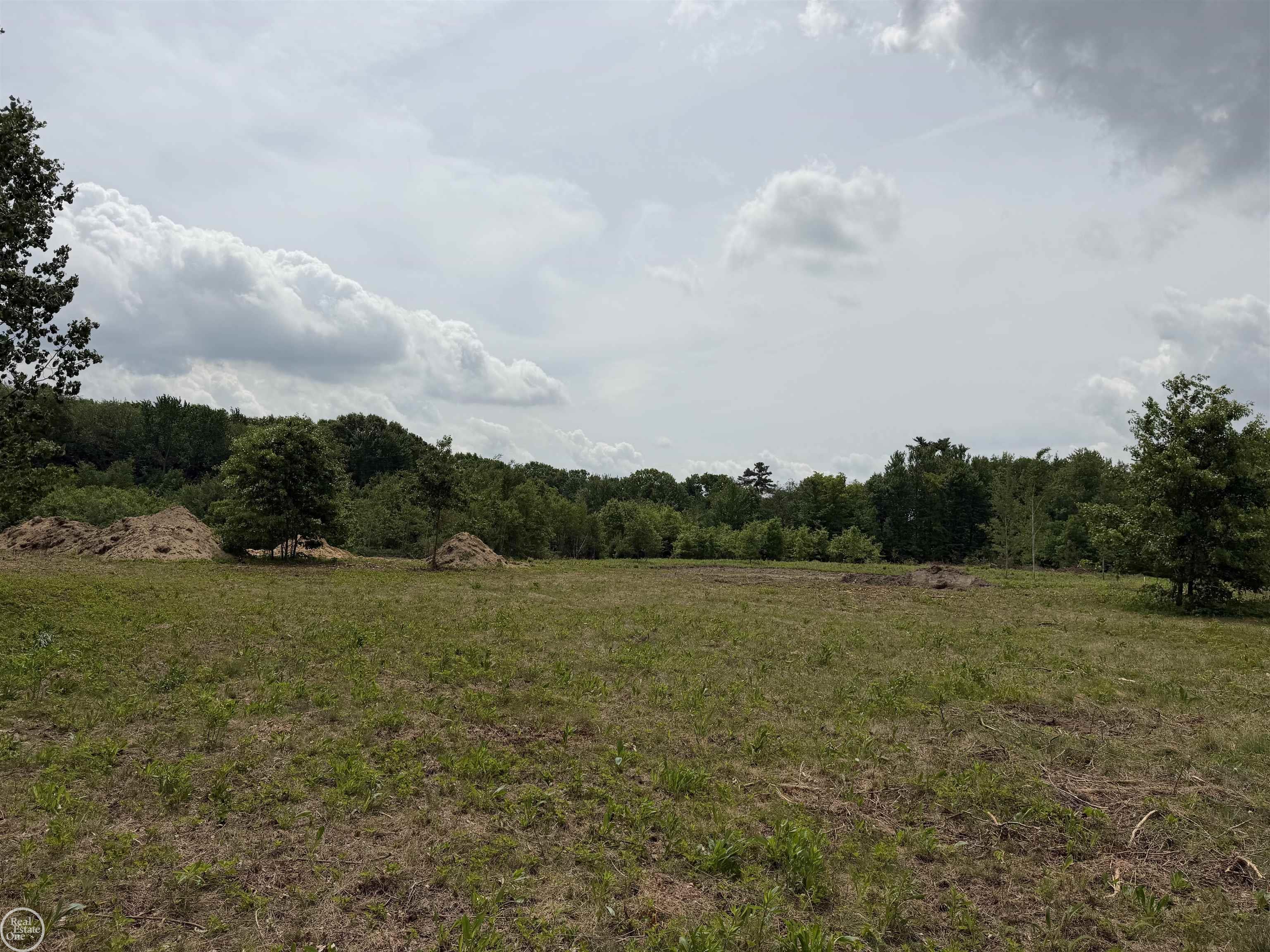 0 Parker Road Fort Gratiot, MI 48059 - Photo 5 of 16