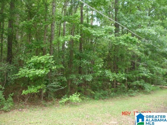 2 County Road 69, Unit 1 Clanton, AL 35045 - Photo 1 of 1