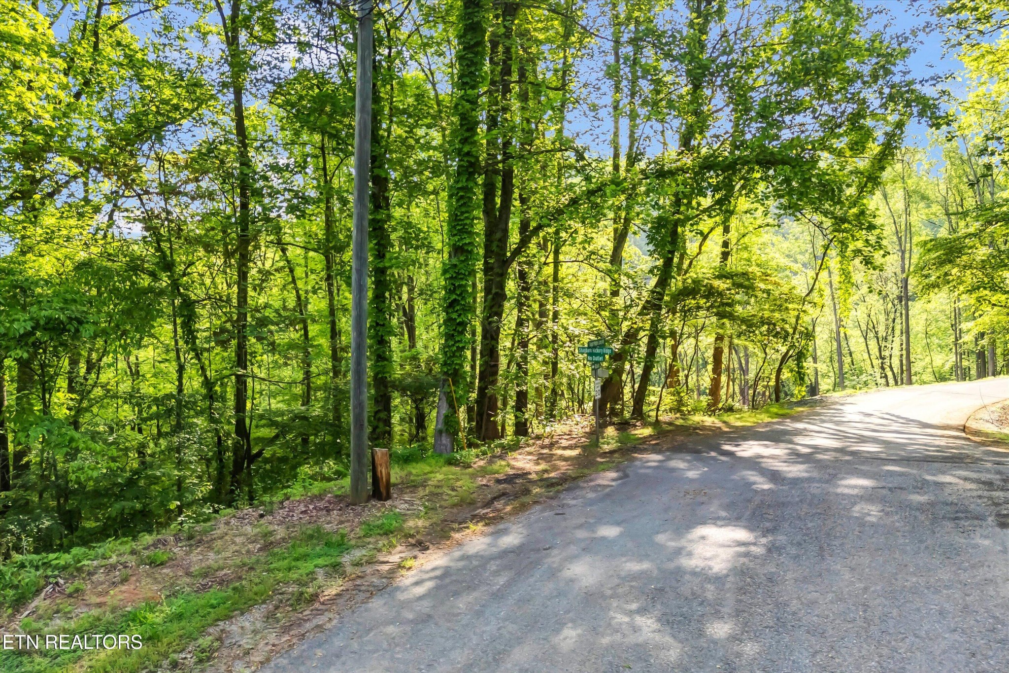 27 Sugar Maple Loop Road Sevierville, TN 37862 - Photo 3 of 48 Gallery Image 3