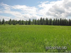 Lot 61 Burt Road Little Falls, NY 13365 - Photo 1 of 1 Gallery Image 1