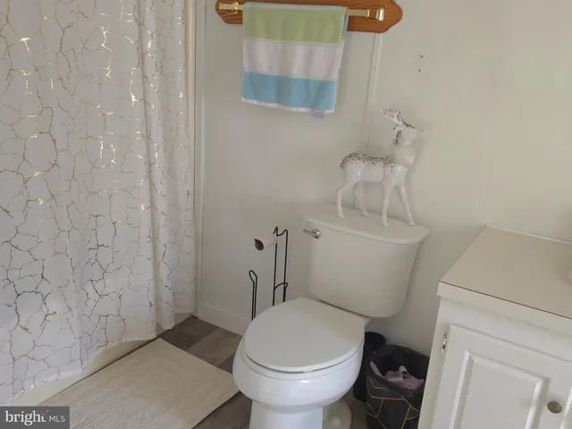 a white toilet sitting next to a shower curtain