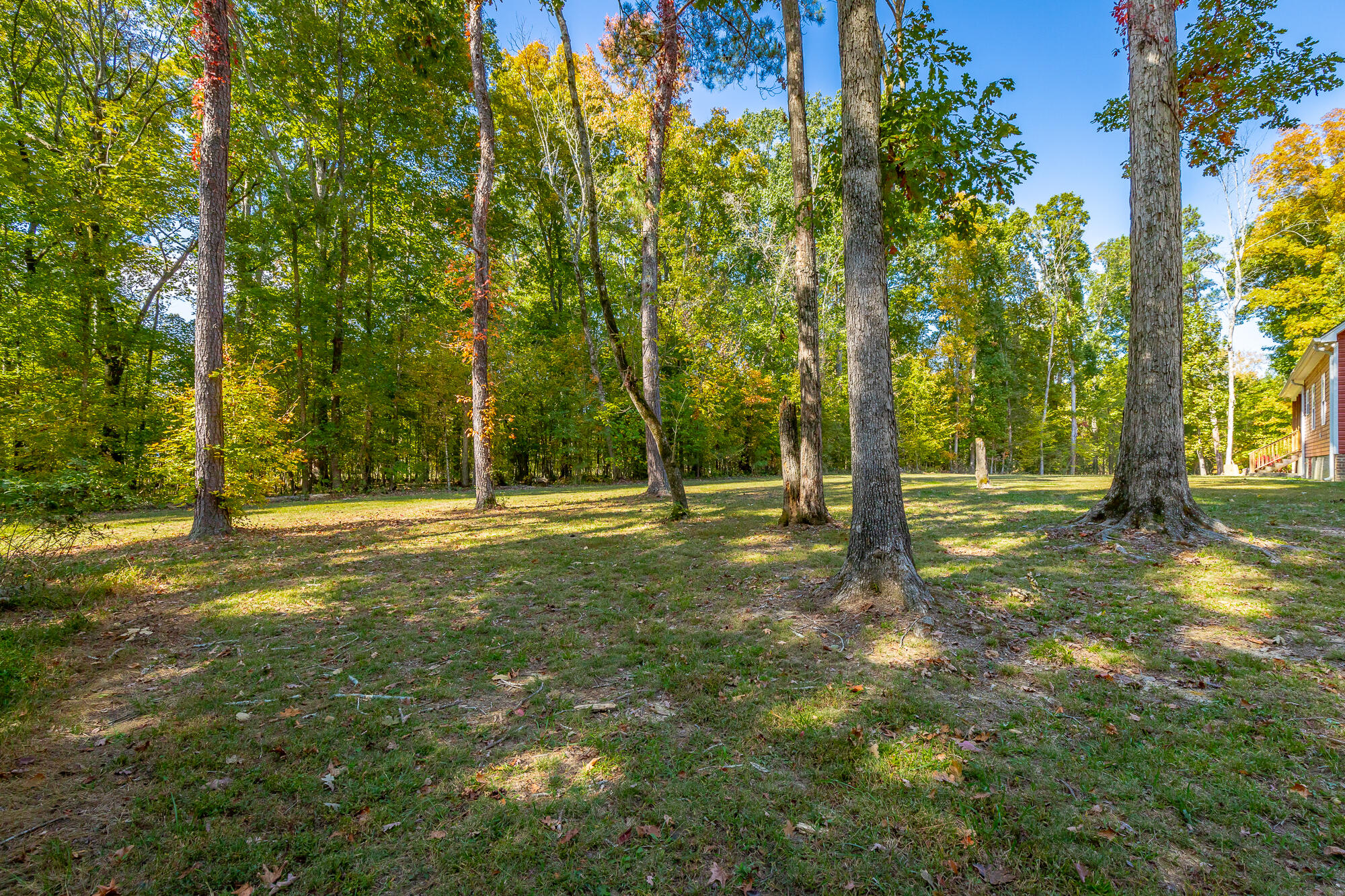 236 Foster Lane Ringgold, GA 30736 - Photo 42 of 48 Yard