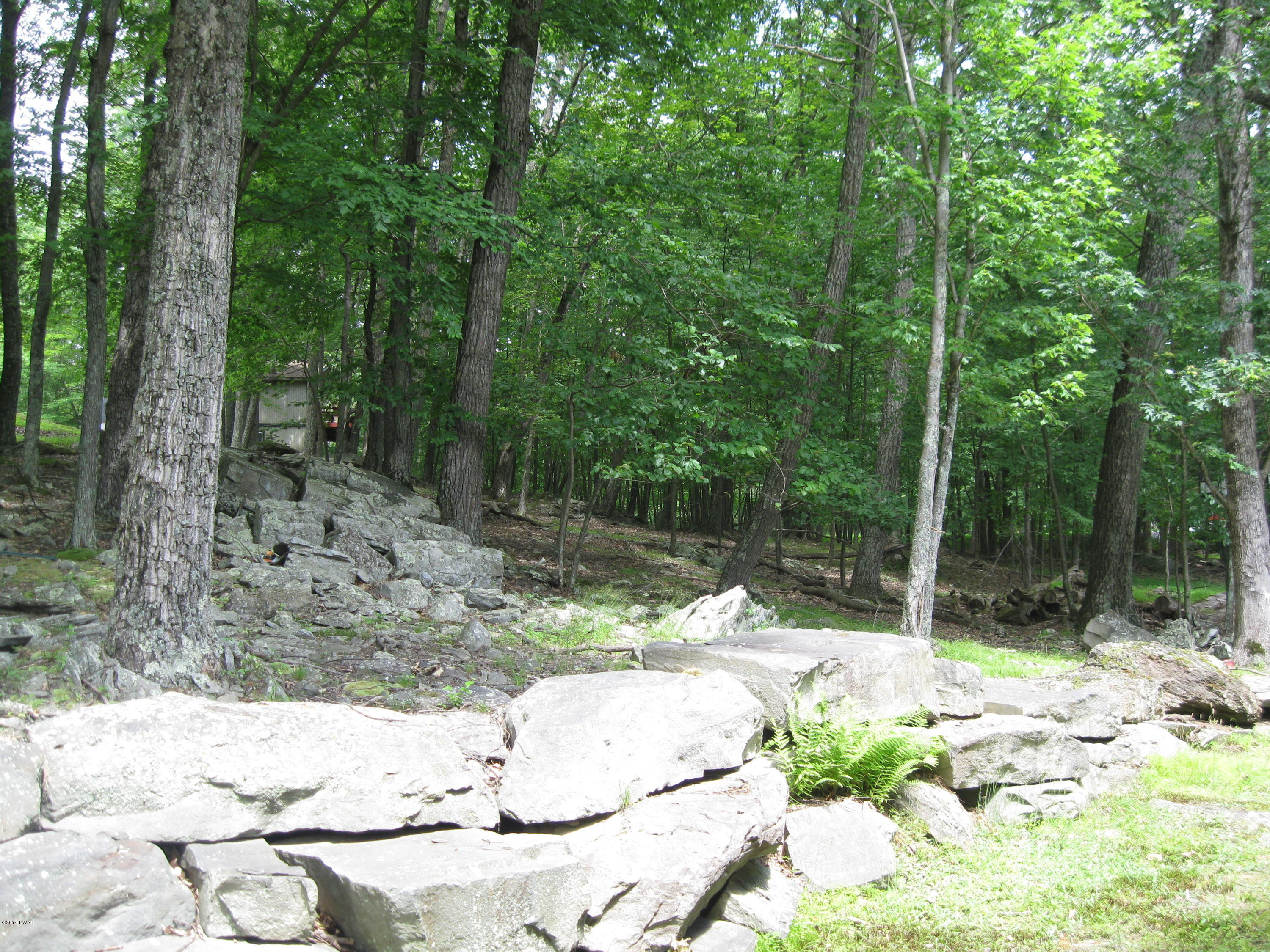 157 Gold Key Road Milford, PA 18337 - Photo 26 of 31 Rear