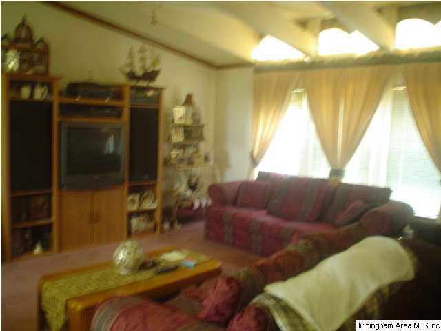 3205 Ebell Road Oneonta, AL 35121 - Photo 3 of 23 Gallery Image 3