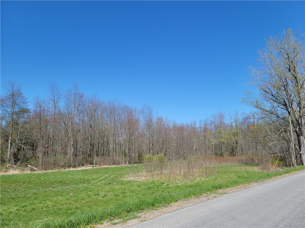 0 Lembke Road Lyons, NY 14489 - Photo 2 of 5