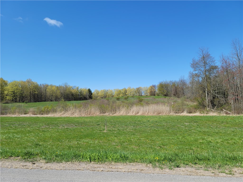 0 Lembke Road Lyons, NY 14489 - Photo 3 of 5