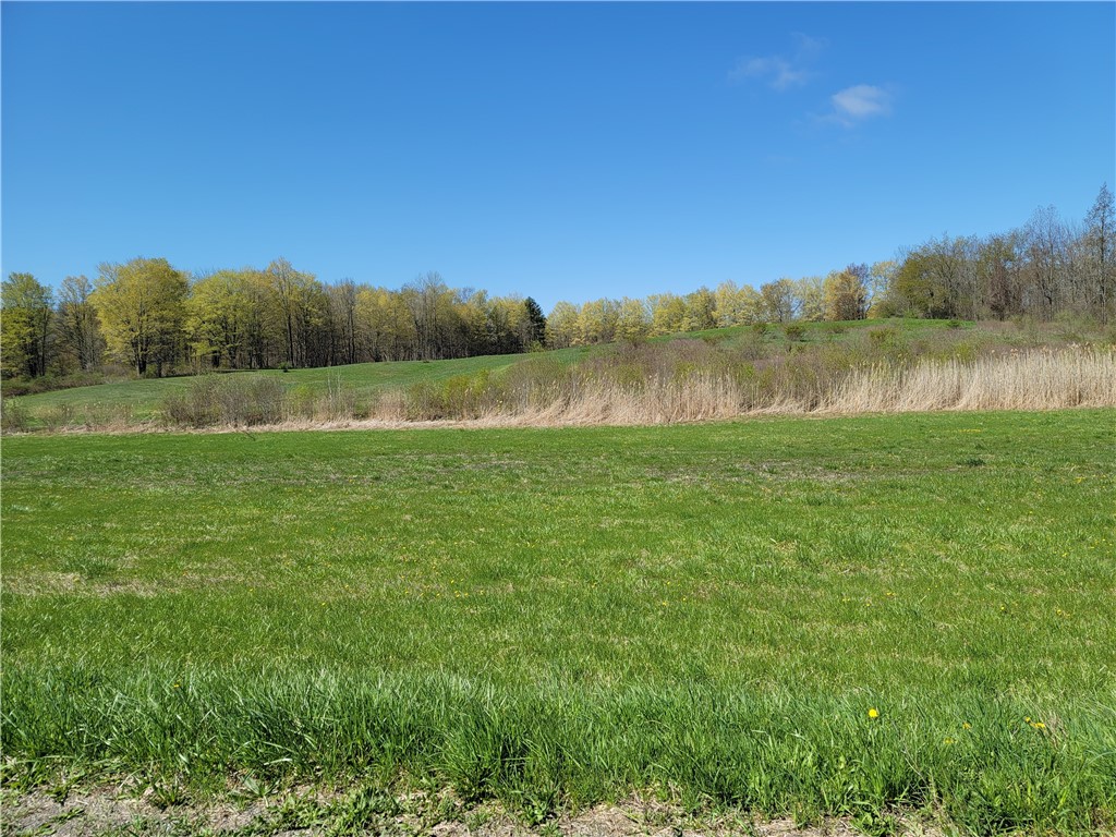 0 Lembke Road Lyons, NY 14489 - Photo 4 of 5