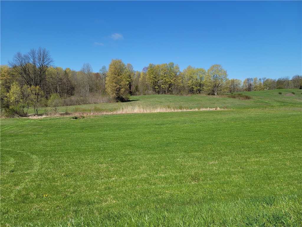 0 Lembke Road Lyons, NY 14489 - Photo 5 of 5