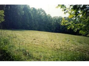 Lot 2 Marbleton Road Unicoi, TN 37692 - Photo 1 of 1 Photo 1