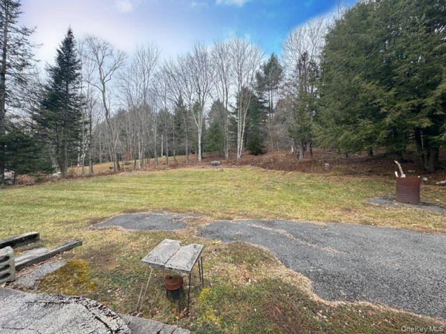 49 Ryan Road Jewett, NY 12444 - Photo 14 of 18 a view of a backyard with large trees