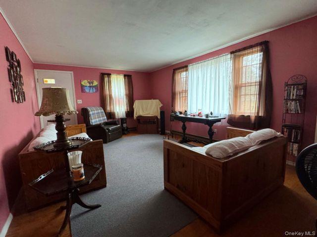 49 Ryan Road Jewett, NY 12444 - Photo 5 of 18 a living room with furniture and large windows