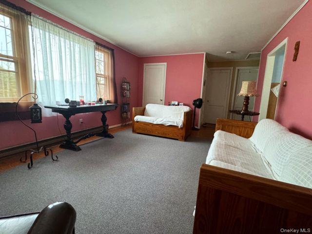 49 Ryan Road Jewett, NY 12444 - Photo 6 of 18 a living room with furniture and a window