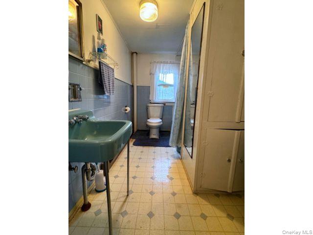 49 Ryan Road Jewett, NY 12444 - Photo 9 of 18 a bathroom with a sink and a toilet