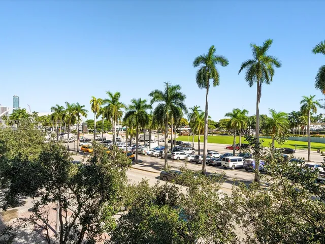 a row of palm trees and outdoor space