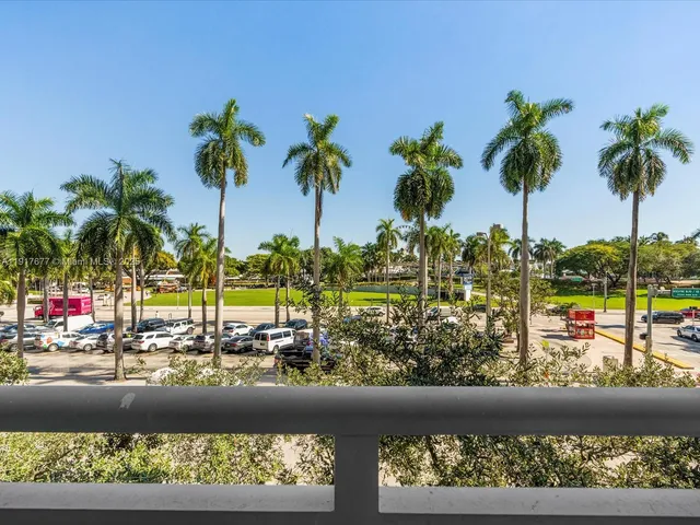 a view of a ocean with a palm tree