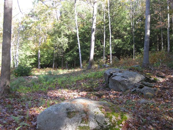 40 Ragged Hill Road Hubbardston, MA 01452 - Photo 4 of 14 Gallery Image 4