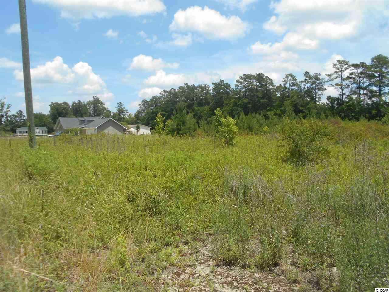 Lot 4 Elbow Road Conway, SC 29527 - Photo 4 of 10 Gallery Image 4