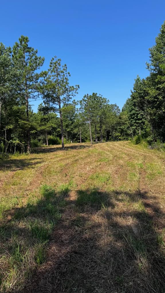 608 Old Shore Road Blackstone, VA 23824 - Photo 1 of 18 Gallery Image 1