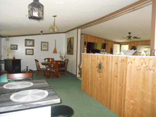 6586 Ridge Road Pentwater, MI 49449 - Photo 14 of 27 DSCN8468