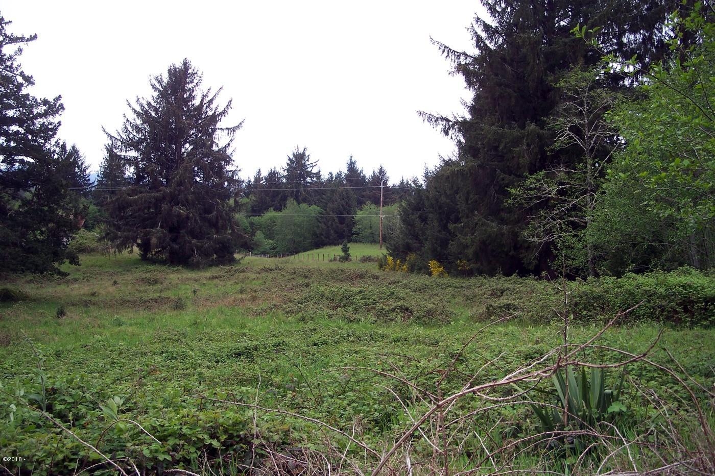 3436 North Bayview Road Waldport, OR 97394 - Photo 2 of 7 Main photo