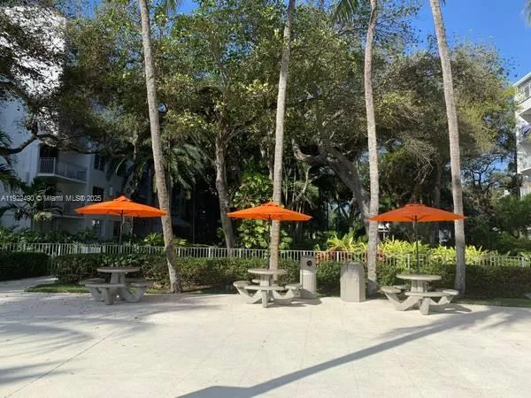 a park with large trees