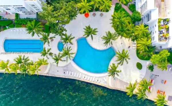 a view of a backyard with palm trees