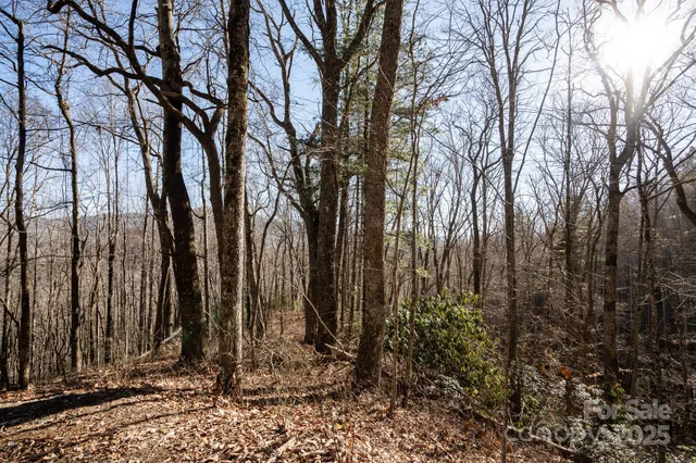 a view of a pathway with a yard