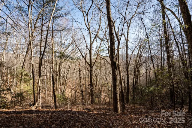 a view of a backyard of the house