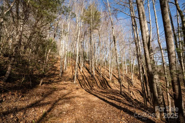 $210,000 | 0 Moss Ridge Road, Franklin, NC 28734