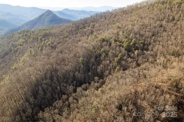 a view of mountain and tree