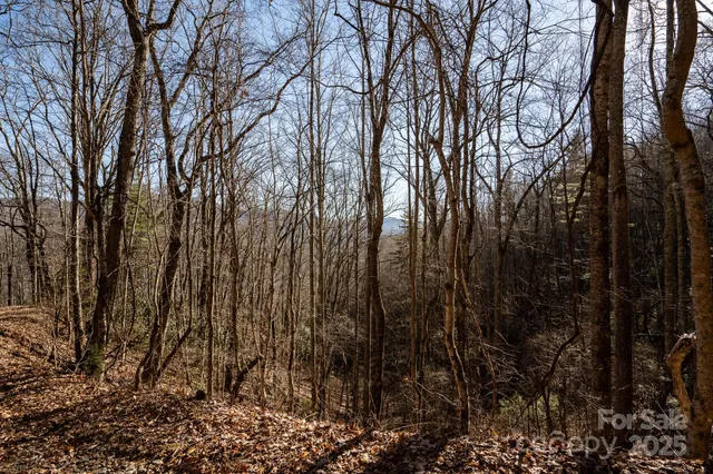 $210,000 | 0 Moss Ridge Road, Franklin, NC 28734