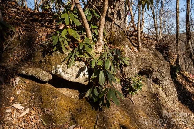 $210,000 | 0 Moss Ridge Road, Franklin, NC 28734