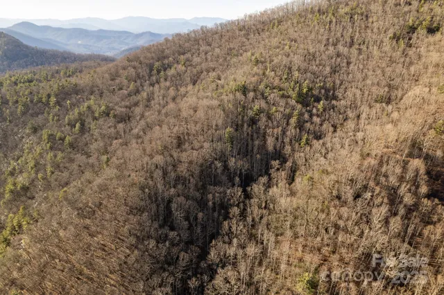 a view of a dry yard with mountains in the background